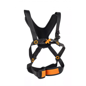 Full body harness Kidzy...