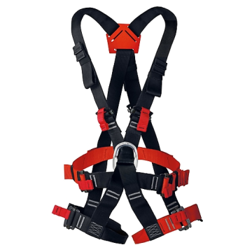 Tarzan economic (Singing rock)