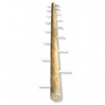 Parrot ladder 5 m (16,40 ft)